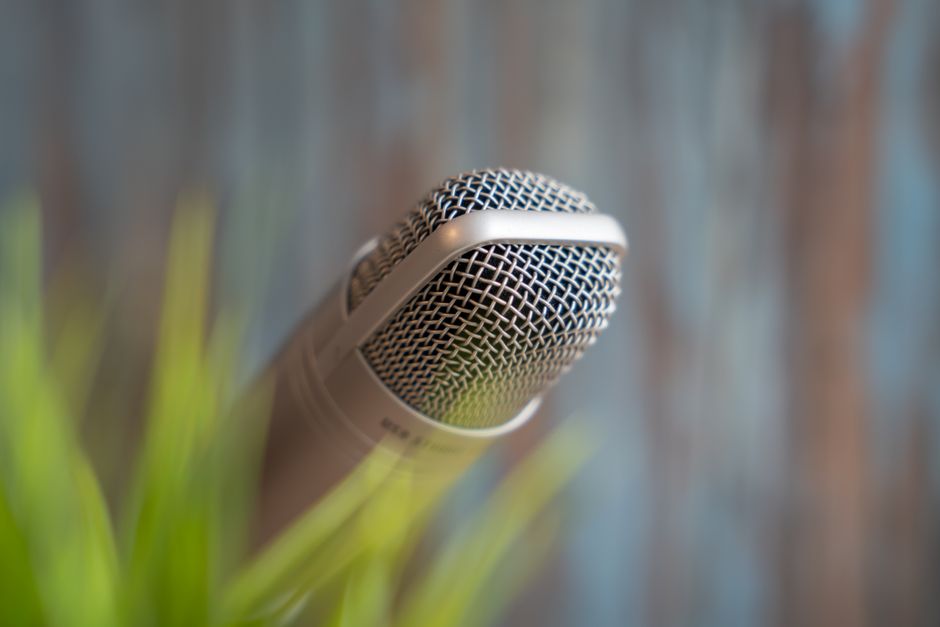 BirdNET-Go, a doorbell cam, and a dynamic mic from the drawer