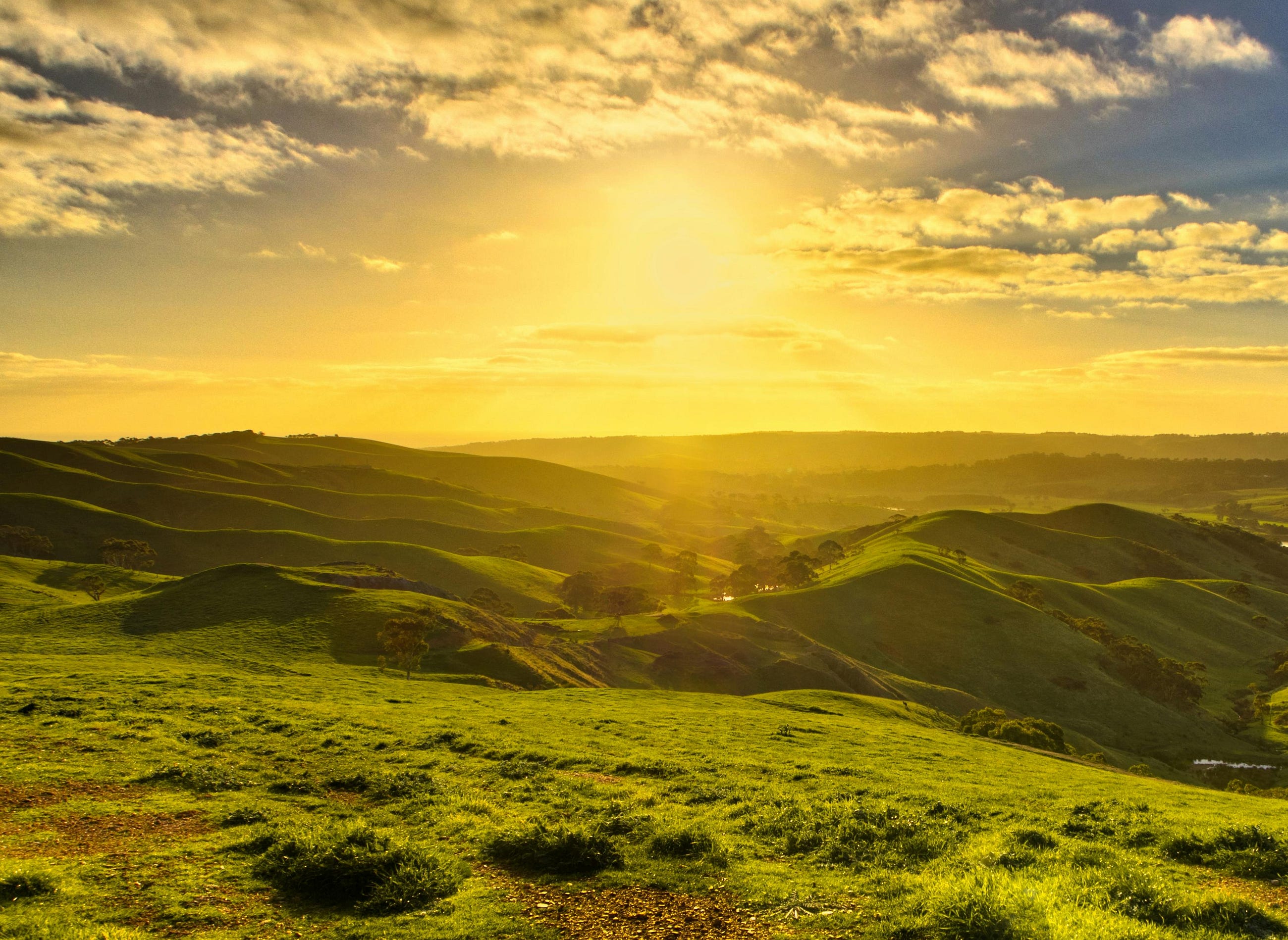 How Do I Build a New Habit? The Two-Step Method That Actually Works