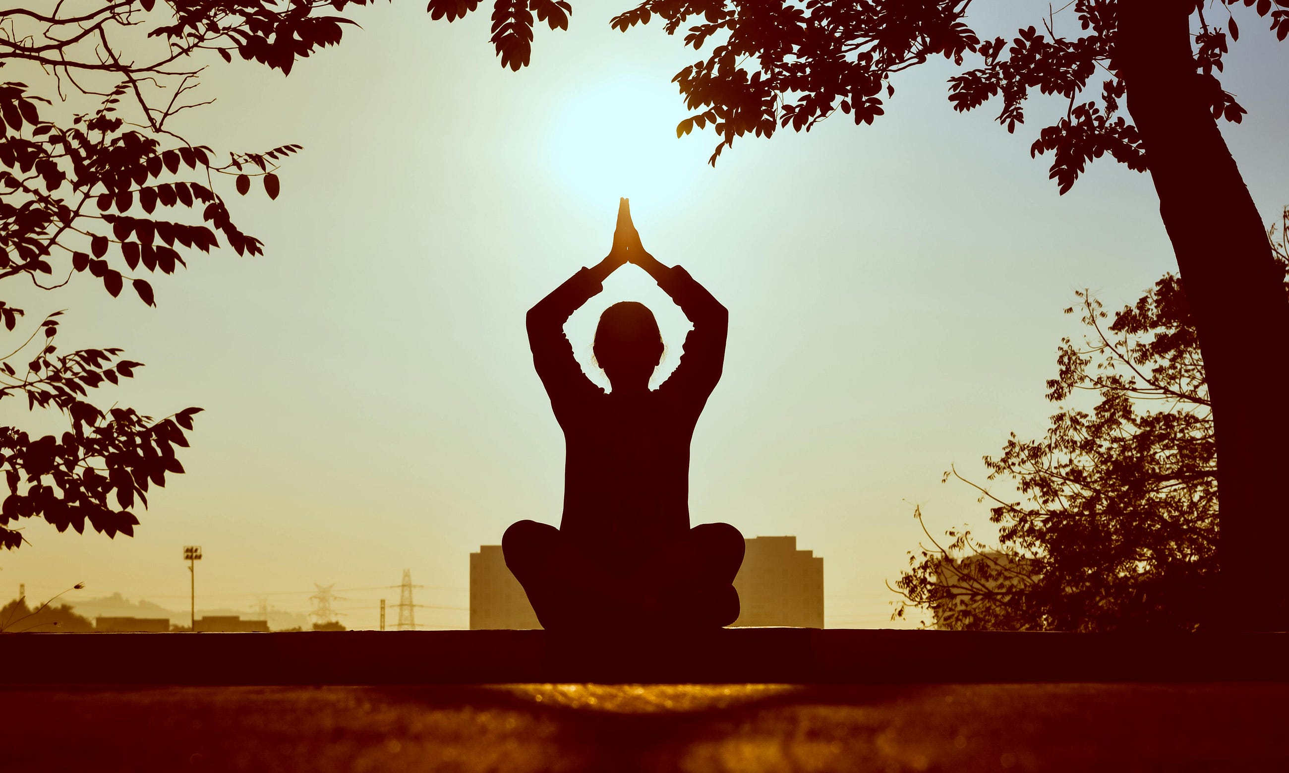 My Journey Through Meditation Apps