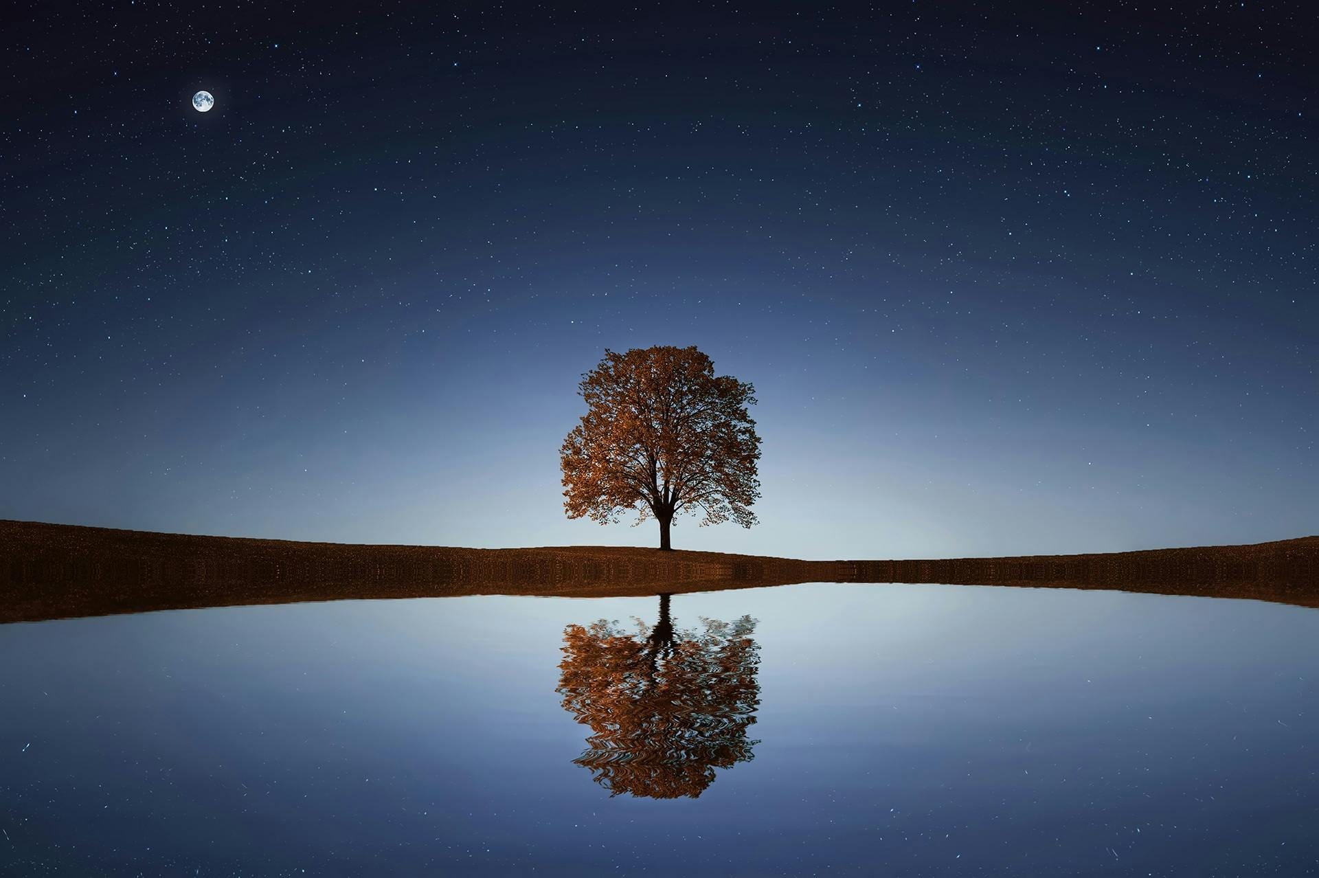 Three Questions: The Simple Framework for Continuous Improvement