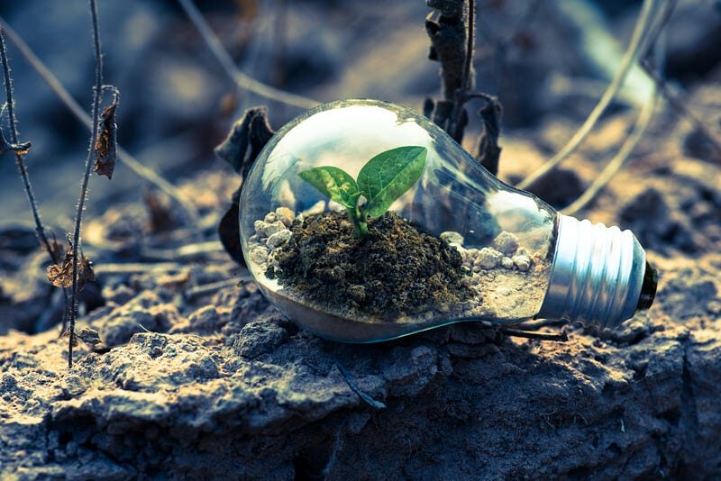 Photo by Singkham from Pexels: https://www.pexels.com/photo/clear-light-bulb-planter-on-gray-rock-1108572/